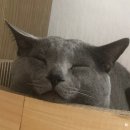 루페컴