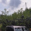 사암농장 이미지