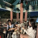 선경갈비 이미지