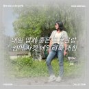 [8월 여자 직장인 데일리룩] 매일 입기 좋은 코코블랑 썸머 자켓 데일리룩 매칭