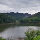 담양군금성면외추보건진료소 | 제 1회 고비산 외추리 산 벚꽃축제