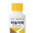 경농연