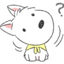 베리애견미용 이미지