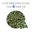 코이푸드 네이버블로그