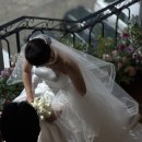 1878 | 💍 W5 대전 아이폰스냅 - 세러데이 스냅 본식 후기
