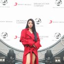 다미컴퍼니 세계일보
