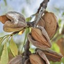 김인호 농장 이미지