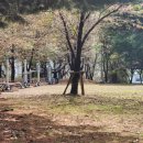 무양공원 유아숲체험원 이미지