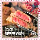 [태안] 2025 가성비로 즐기는 한우 축제, 로컬푸드 직매장 &#34;태안 한우축제&#34;