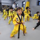 명성키즈유치부태권도