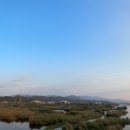 우두동 자전거도로 이미지