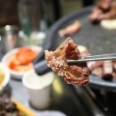 리얼한우정육식당