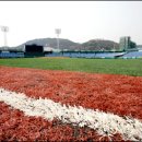 주경기장 잔디구장 이미지