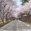 신나는 도자기 놀이(4월) 이미지