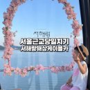 화성방조제 | 화성 가볼만한곳 추천! 서해랑 제부도 해상케이블카 타고 즐긴 서울 근교 당일치기 여행 코스
