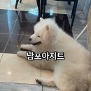 남포아지트 이미지