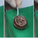 잘하는 동물메디컬센터 이미지