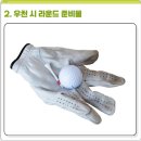 레인스크린골프 네이버블로그