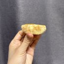 던킨광명하안점 | 던킨 도너츠에서 나온 신상! "호박 인절미 카스텔라 도넛" 창억떡과 차이점 솔직 리뷰⭐️ (찐 내돈내산...