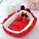 오로라애견 이미지