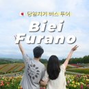 비에이(B/A) | 삿포로 여행 비에이 후라노 버스투어 당일치기 일정 코스 날씨 후기