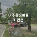 자연촌 여주참숯마을-새단장한 수영장 오픈! 찜질방과 펜션, 캠핑까지