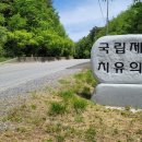 제천 치유의 숲 이미지