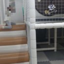 정육식당평궁 이미지