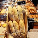 그린 브라우니 이미지