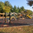 엉터리생고기 원광대점 | 익산삼겹살_엉터리생고기(내돈내사먹)