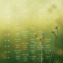 에이플러스필라테스 이미지