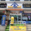 도그마캣군포
