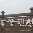 들꽃펜션 이미지