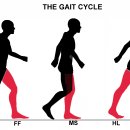 스피나 핏 앤 필라테스 이미지