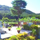 주교면행정복지센터 이미지