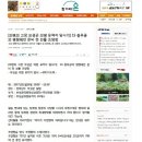 조양인쇄 Daum카페