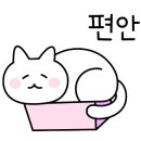 사이카츠 이미지