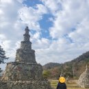 진도목장 | 탑골의탑 운림산방 진도개테마파크 - 전남 진도군