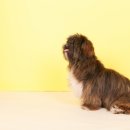 이쁜손 이쁜얼굴 이미지