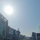 보람 태양광발전소 이미지