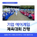 기업 에어게임 체육대회 진행, 참여율을 높이는 최고의 팀빌딩 프로그램 운영 후기