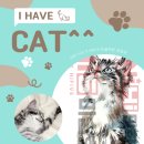 조일프라자빌딩 이미지