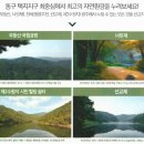 리포레 네이버블로그