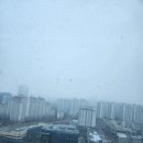 참(charm)행정사 사무소 이미지