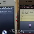 시리 노컷뉴스