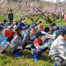 월등초등학교 이미지