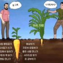 미니스톱 황금점 | 주독야남 일상 full ver. 무료 공개!