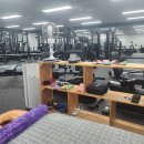 가오짐 피티샵 이미지