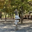 해브솔 | 밀양 감성 글램핑 해브솔 텐트존1 후기