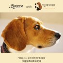 분코